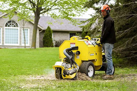 Baumalight Eraser Self-Propelled Stump Grinder | Model HGW30 | 30HP 2WD