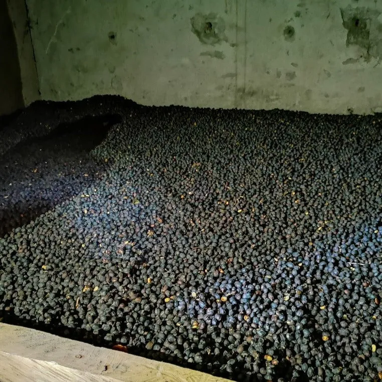 Finca La Cumbre Controlled Drying Natural - Huila