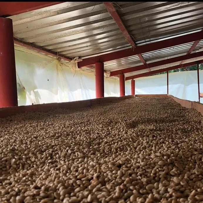 Finca San Gabriel Orange Tabi - Huila