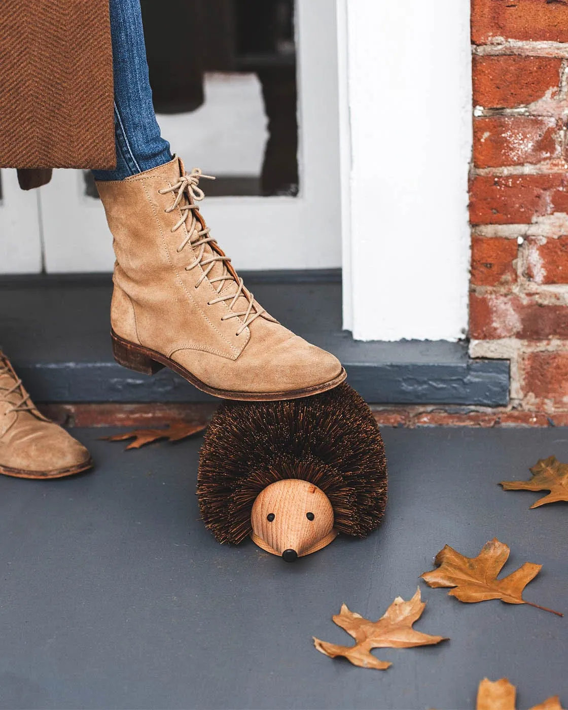 Hedgehog Shoe Brush