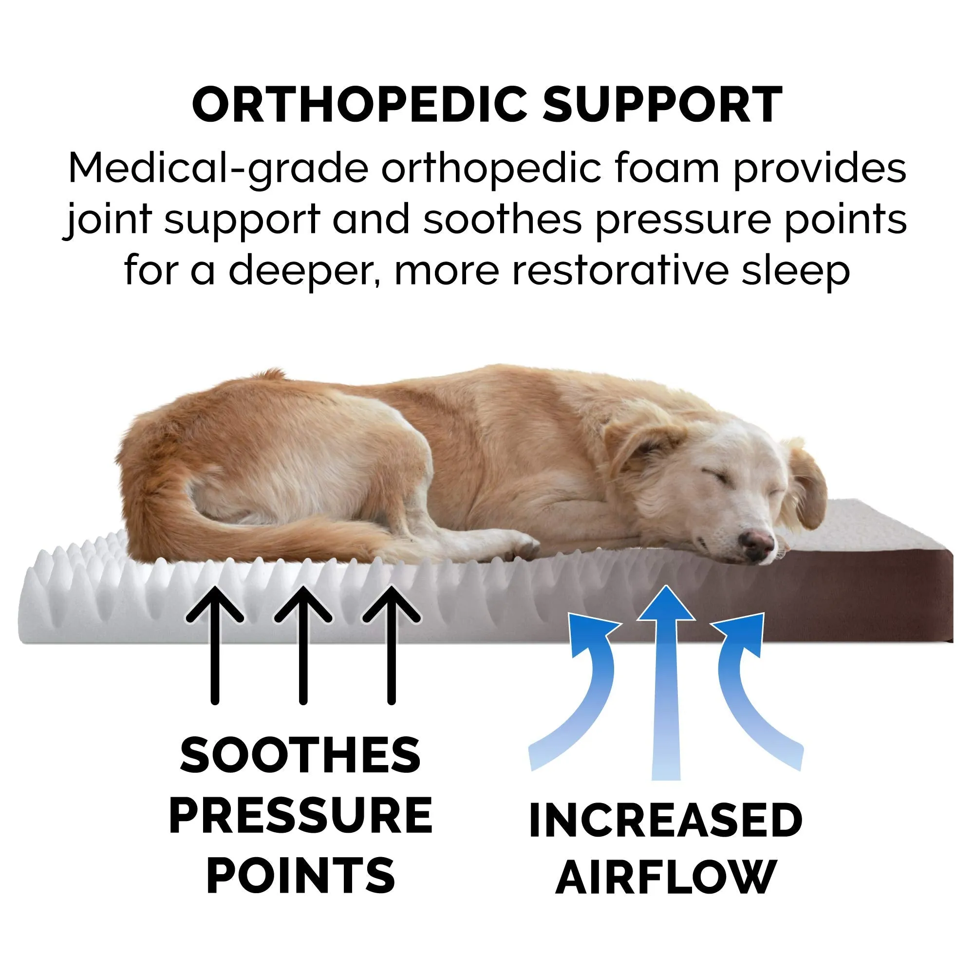 Rectangular Mattress Dog Bed - Sherpa - Espresso