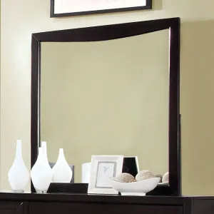 Snyder Mirror